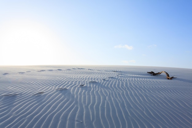 White sand dunes panorama from Lencois Maranhenses National Park Brazil