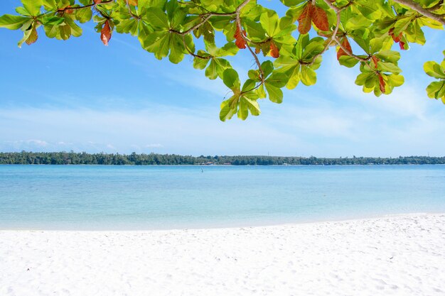 White sand with the blue sea for summer concept