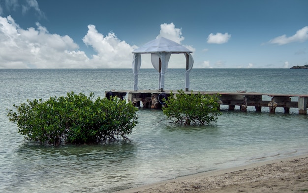 White sandy beach with plants emerging from the water with a breakwater and a white wedding tent