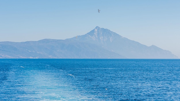 White sea gull flying in the blue sunny sky over the coast of the sea