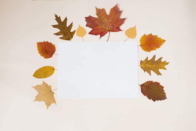 White sheet of paper with autumn yellow and red leaves 