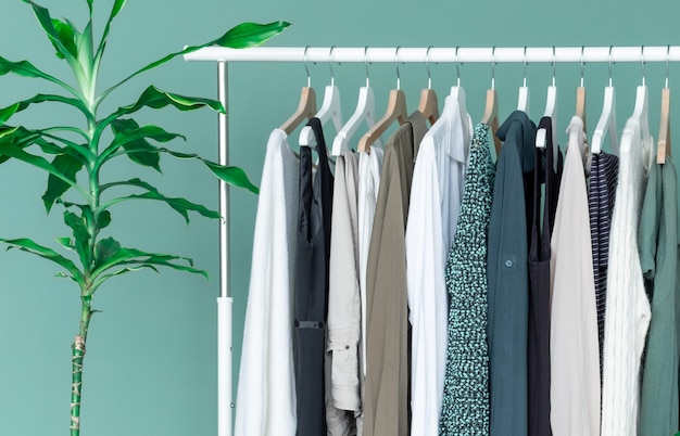 White shelf with a lot of clothes on the green background with green big plant.