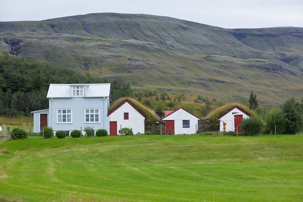 White Siding Icelandic Houses