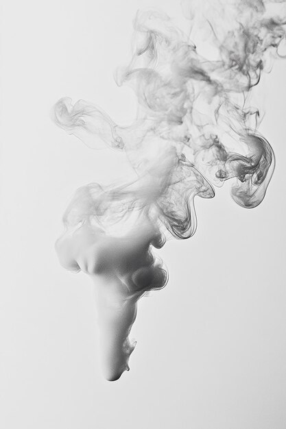 Photo white smoke background