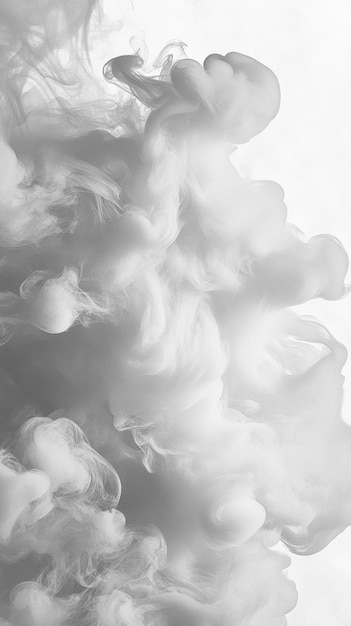 Photo white smoke background