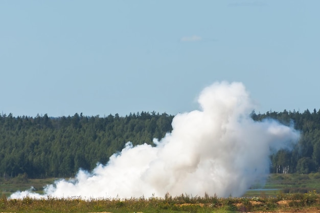 White smoke from a beginning forest fire in the grass