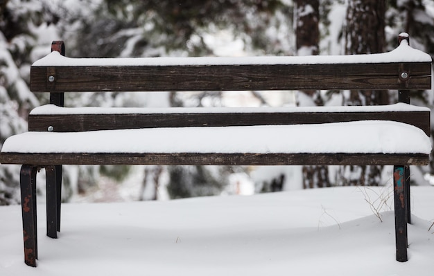 White snow covers an empty wooden bench Nature with blurred frozen trees background Close up front view