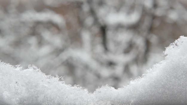 White snow flakes falling in winter snowflakes of wintry christmas snowfall