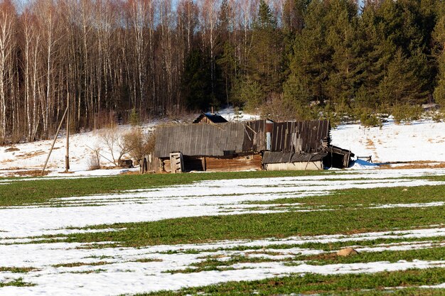 White snow lying on the ground in winter