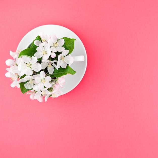 White spring apple tree blooming flowers in a cup