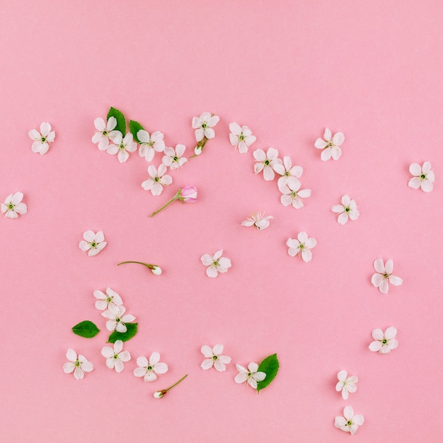 White spring cherry tree blooming flowers pattern