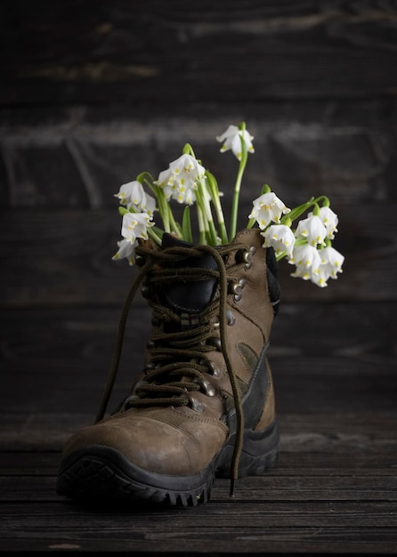 White spring snowdrop flowers in an old trekking boot for travel on dark background