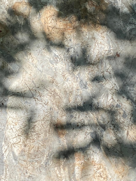 A white stone wall with the words " the word " on it.