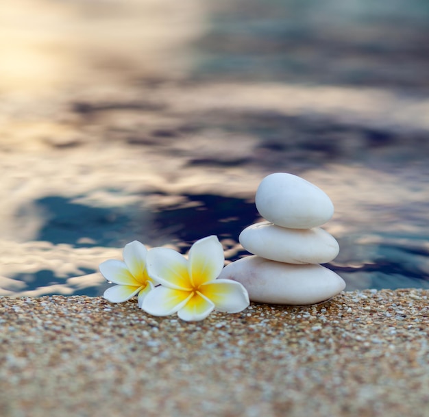 White stones and white plumeria near water in wimming pool