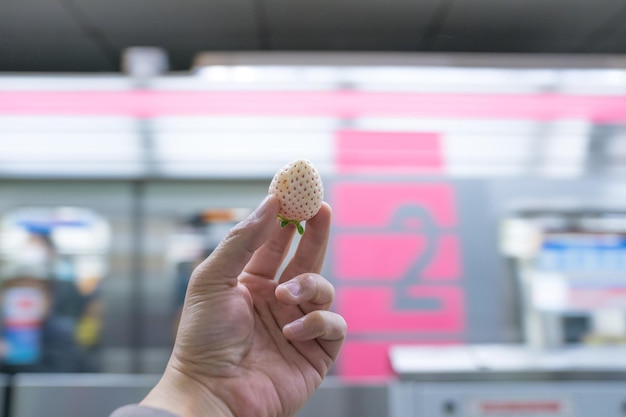 White strawberry type but sweet and delicious was held in the hand with the subway underground background