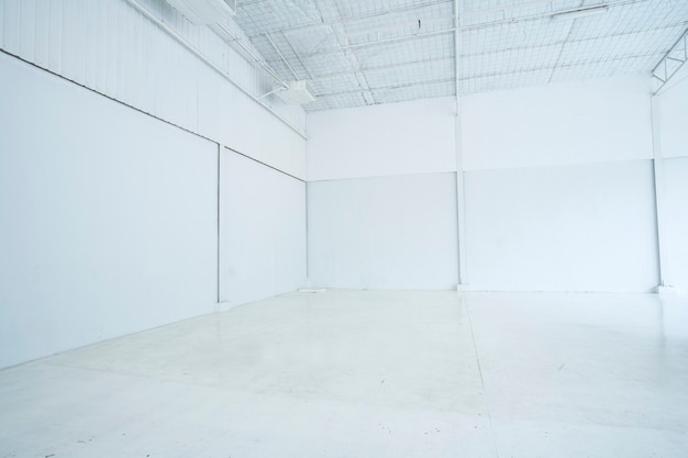 white studio background