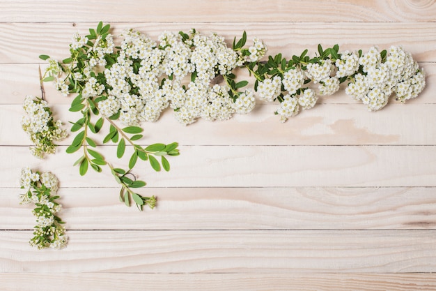 White summer flowers on wooden surface