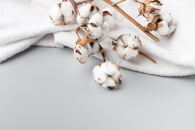 White terry towel and a branch of cotton on a gray background