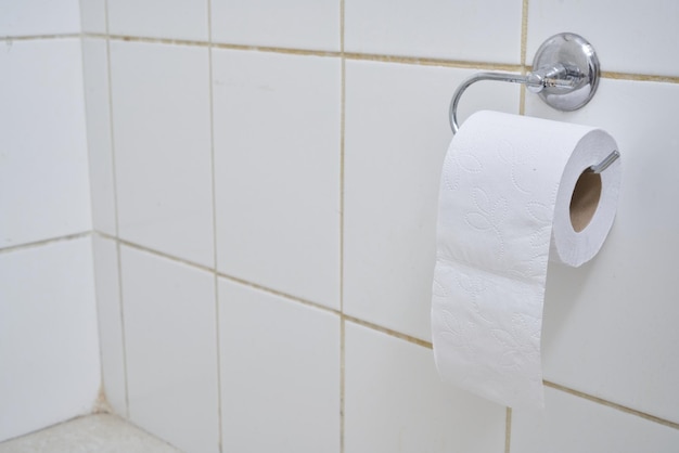 White toilet paper in a clean public toilet.