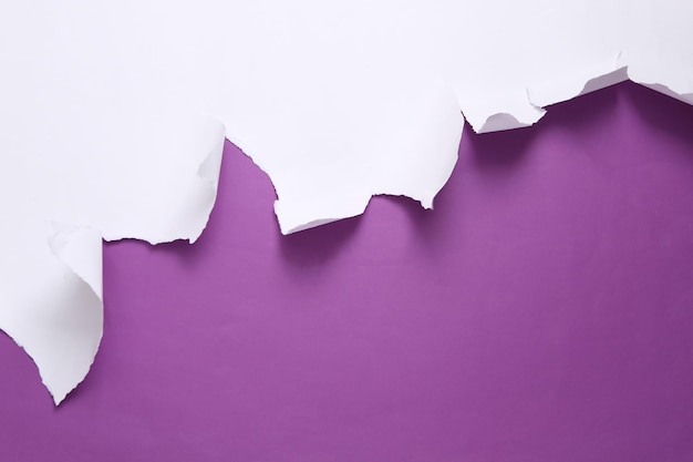 White Torn paper sheet on purple background Minimalistic background Copy space