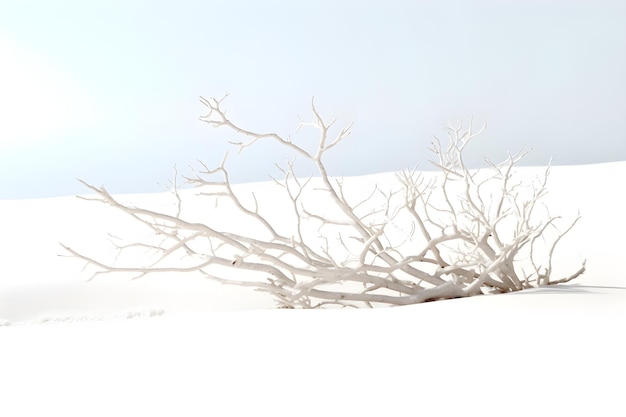 A white tree with no leaves sits in the snow.