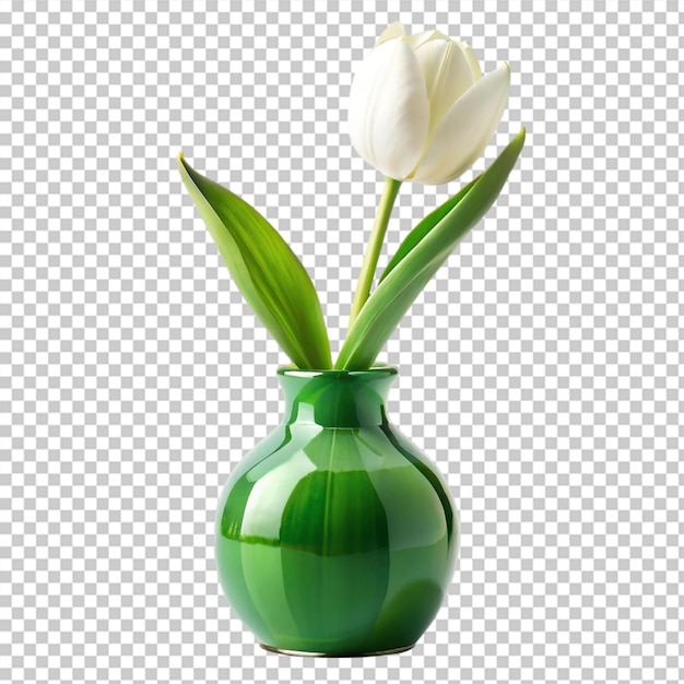 White tulip in green vase isolated on transparent background