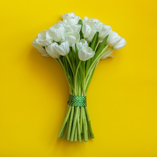 Photo white tulips on bright yellow background. spring concept.