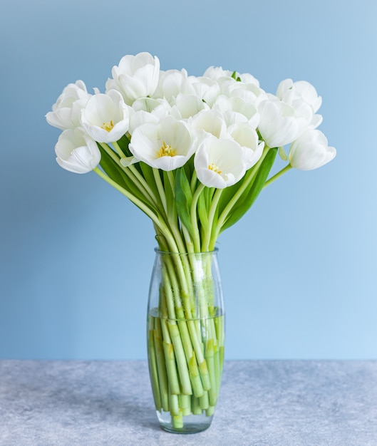 White tulips in transparent vase on color background. Spring concept.