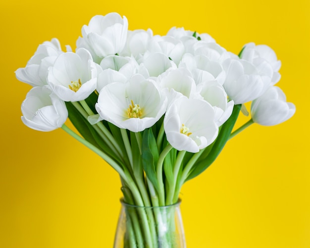 White tulips in transparent vase on color background. Spring concept.