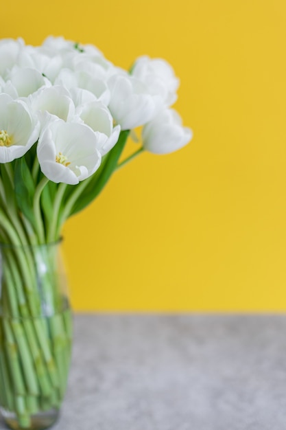 White tulips in transparent vase on color background. Spring concept.