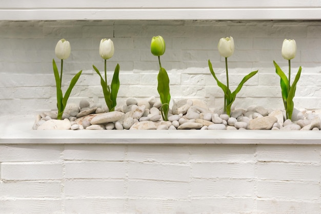 White tulips with pebbles against a white brick wall