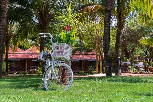 White vintage bike with basket of decorative plants in garden next to tropical beach on island Phu Quoc Vietnam Travel and nature concept