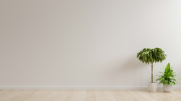 White wall empty room with plants on a floor.