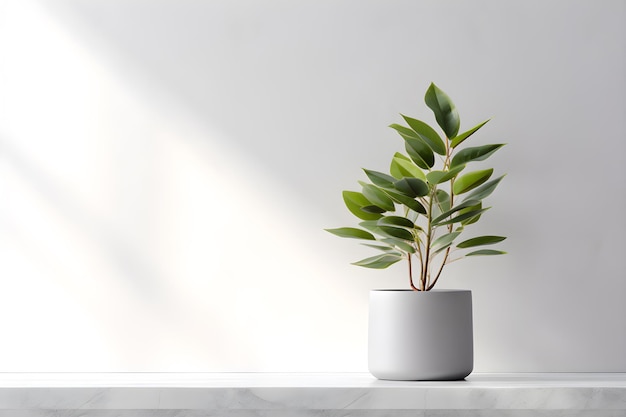 White wall room for display of presentation product with vase and pot AI generate