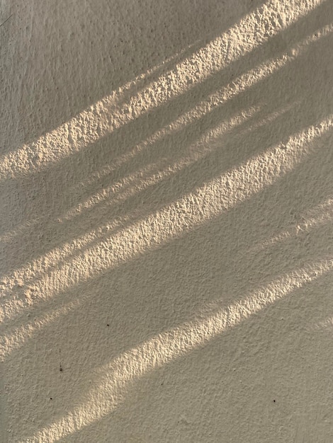 A white wall with shadows of leaves and the sun shining through the lines.