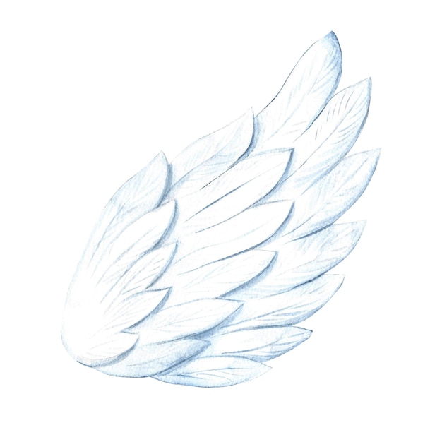 The white wing of an angel a handdrawn watercolor illustration conceptual design for valentines day