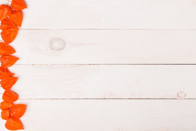 White wooden background for copy space. Flat lay, top view. Orange winter cherry on the edge of the image