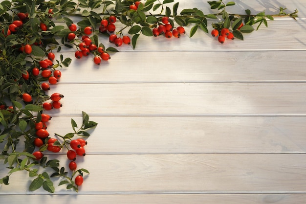 white wooden background with rose berries and copy space