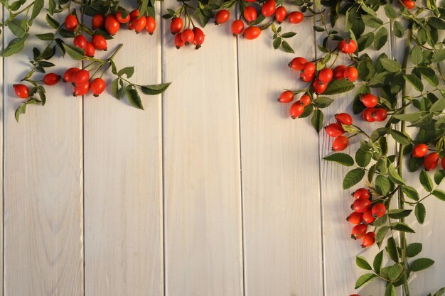 white wooden background with rose berries and copy space