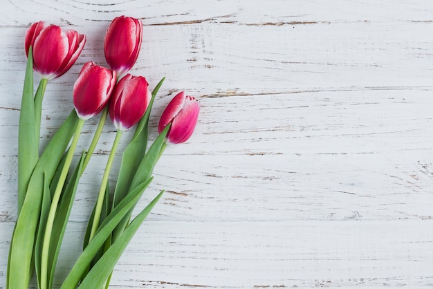 White wooden surface with tulips for mother's day