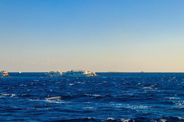 White yachts sailing in Red sea Egypt