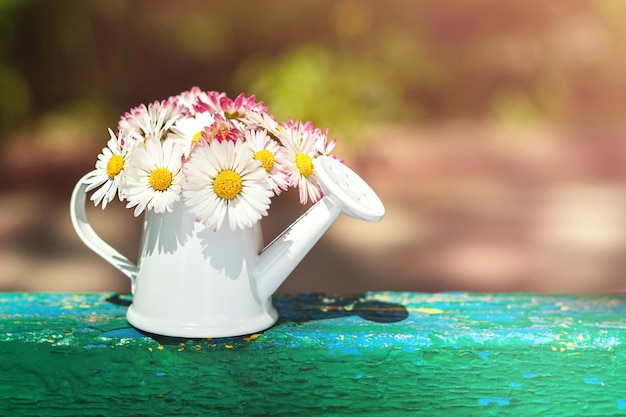 Whitepink flowers in a mini watering can on a blurred background