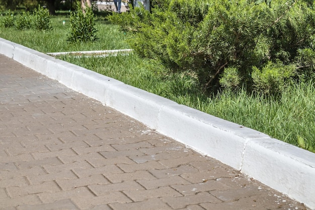 Whitewashed concrete curb in the park closeup