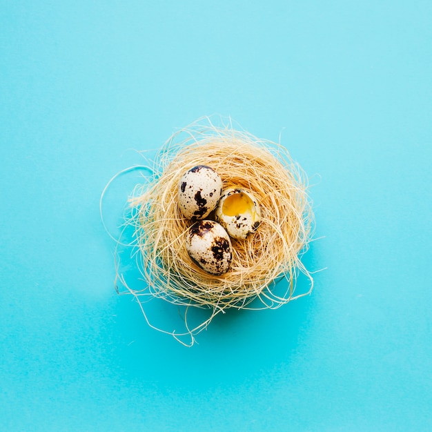 Photo whole and cracked quail eggs in nest