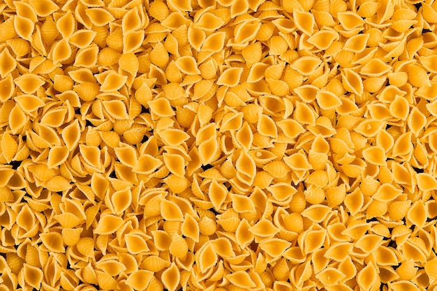 Whole grain pasta  small shell on a dark mirrored table pasta layout on the table Durum wheat varieties cooking concept