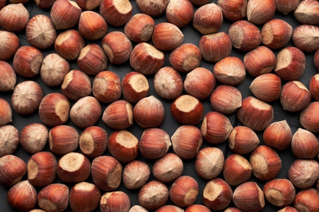 Whole hazelnuts nuts with shell closeup studio shot