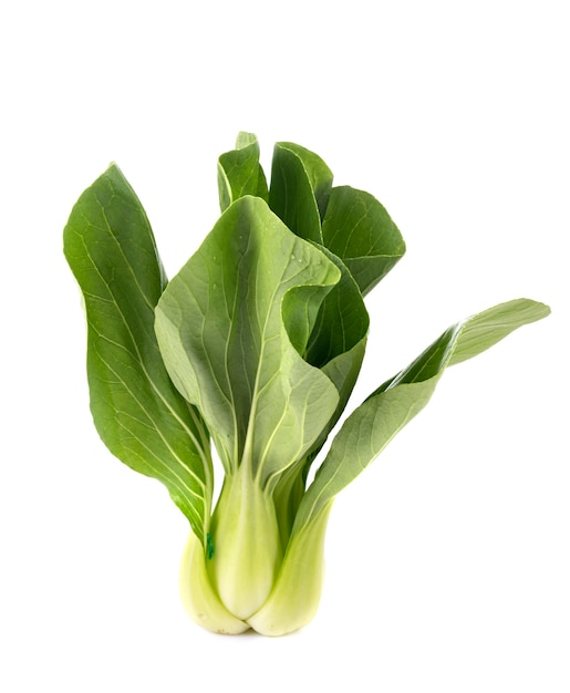 Whole pak choi  isolated on white