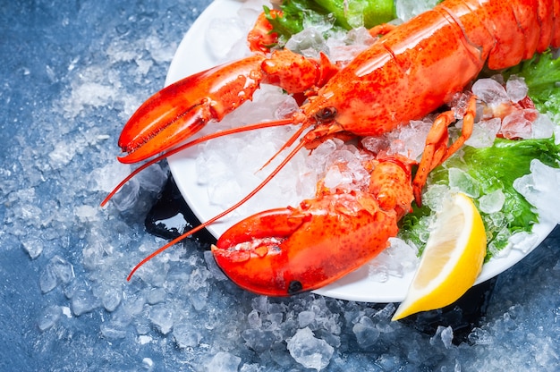 Whole red lobster with tomato and slices of lemon on white plate