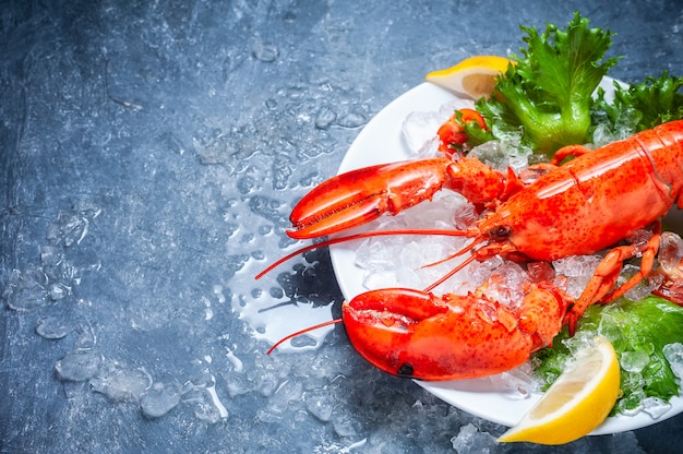 Whole red lobster with tomato and slices of lemon on white plate