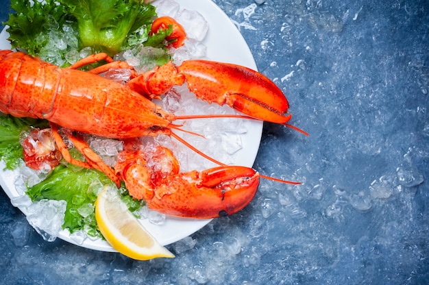 Whole red lobster with tomato and slices of lemon on white plate